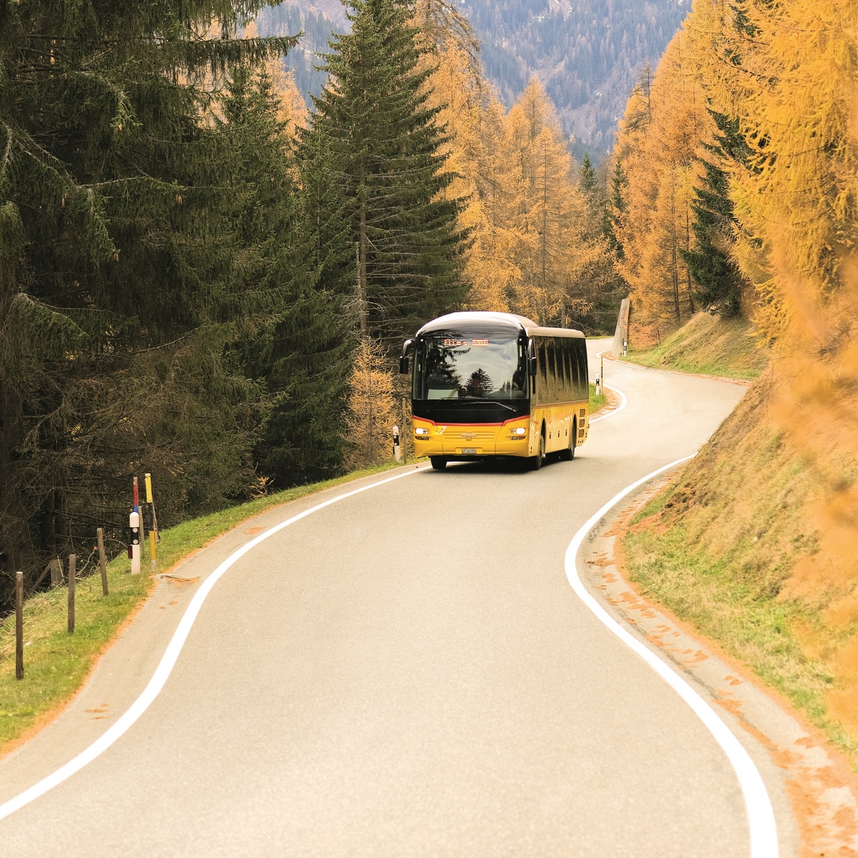 PostAuto im Wald